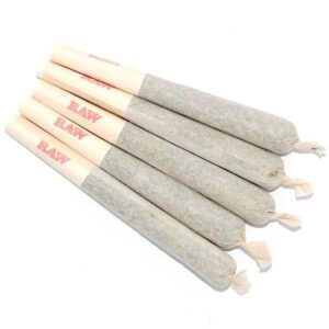 Buy 10 Gorilla Glue Pre-Rolled Joints in Dubai