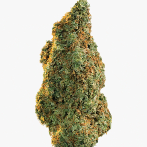 Buy Weed Online In Abu Dhabi