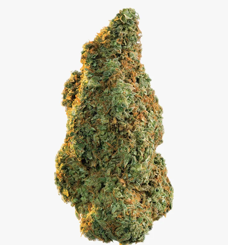 Buy Weed Online In Abu Dhabi